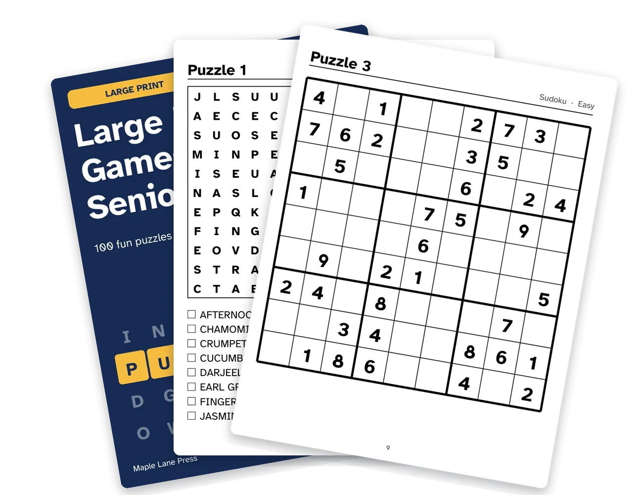 A BigPrint large-print book: cover, word search and sudoku pages