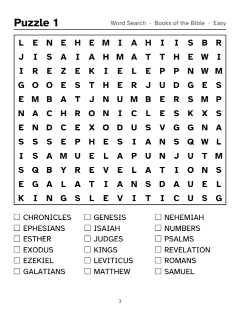 Preview of Bible Word Search