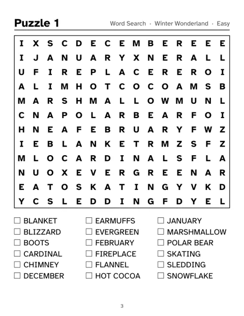 Preview of Christmas Word Search