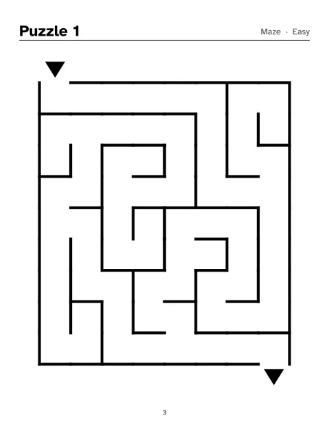 Preview of Easy Large Print Mazes