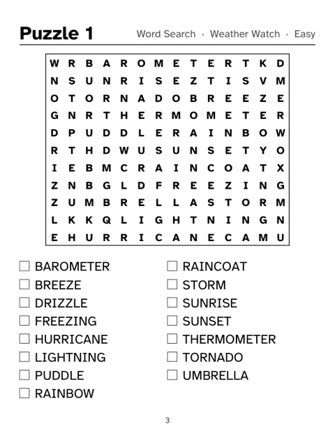 Preview of Jumbo Print Word Search